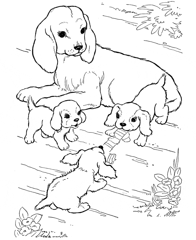 Desenhos de animais para colorir e imprimir