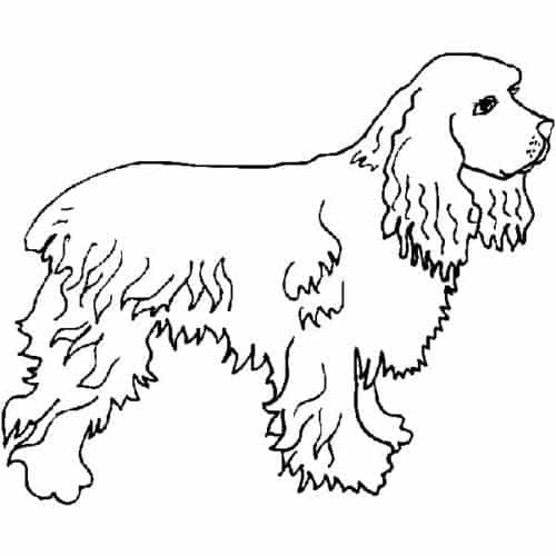 Desenhos de cachorro para colorir
