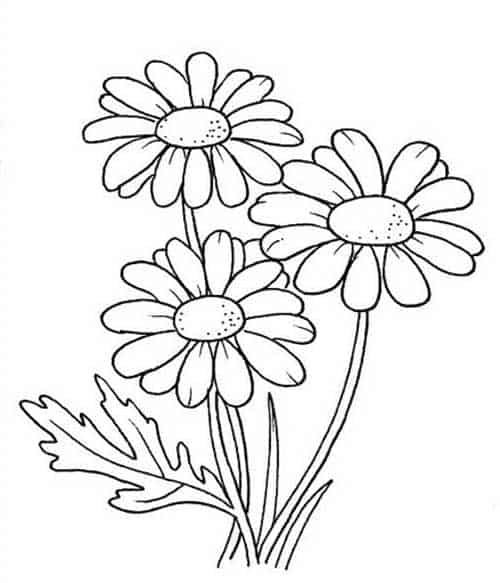 Desenhos de flores para colorir