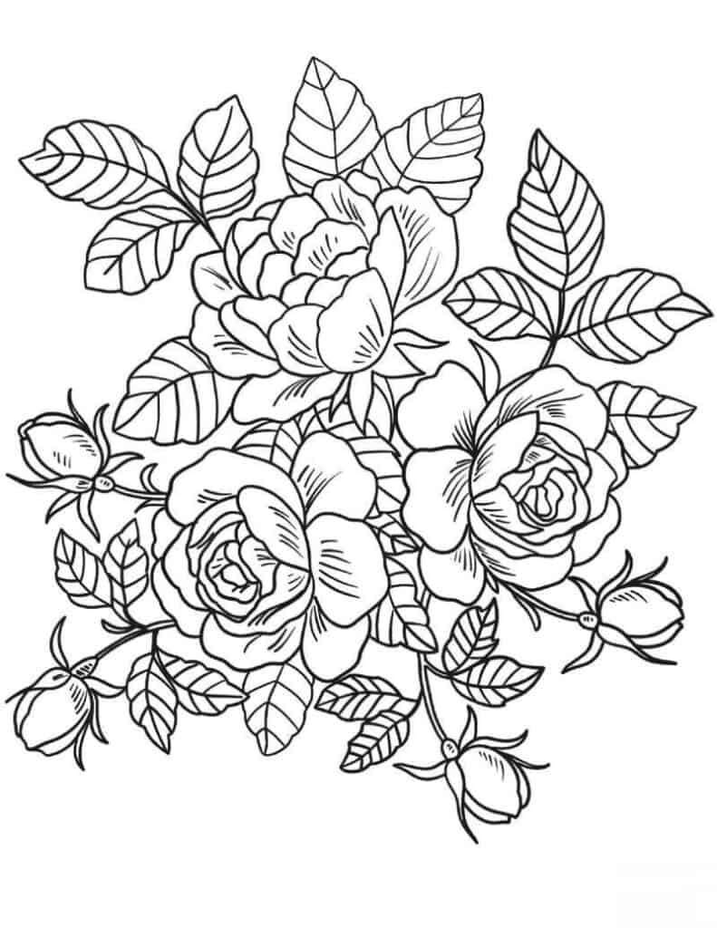 Desenhos de flores para colorir