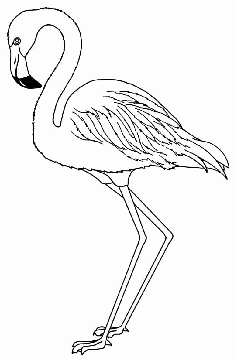 Moldes de Flamingo para Festa Tropical