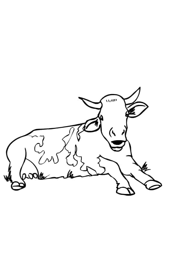 Desenhos de vacas para colorir