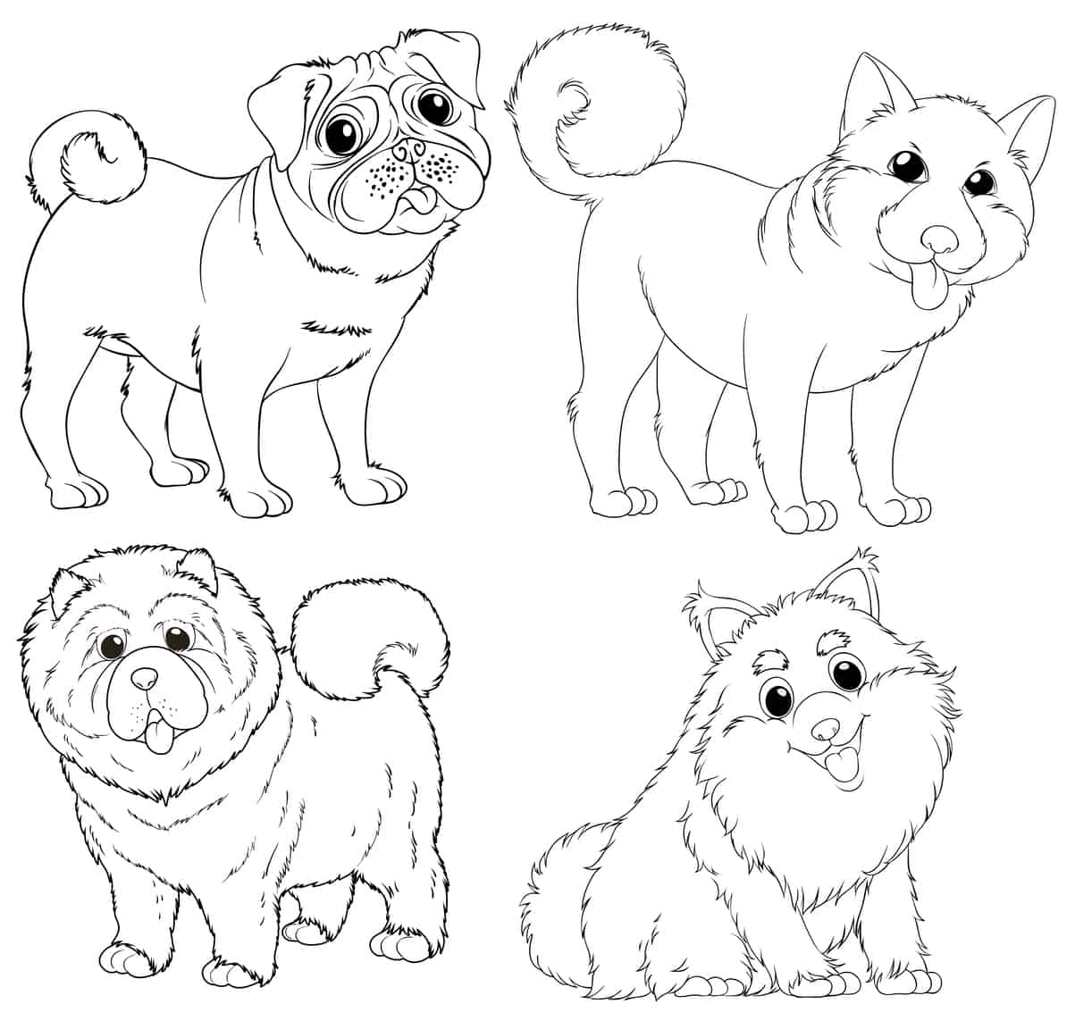 Cachorros para colorir